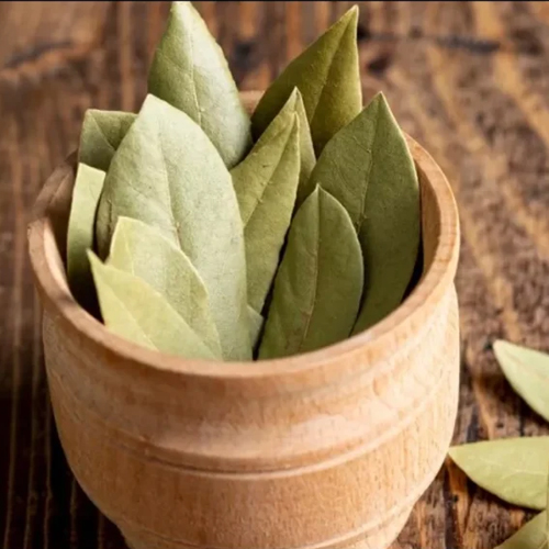 Bay Leaf